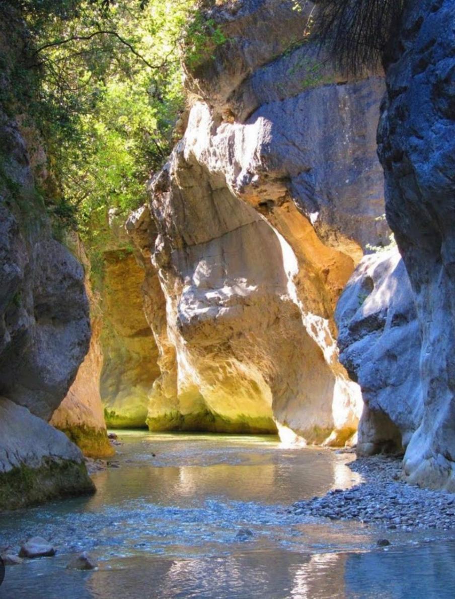 Cabanon Aloe Avec Piscine Chauffee & Bain Nordique Villa Veaux Dış mekan fotoğraf