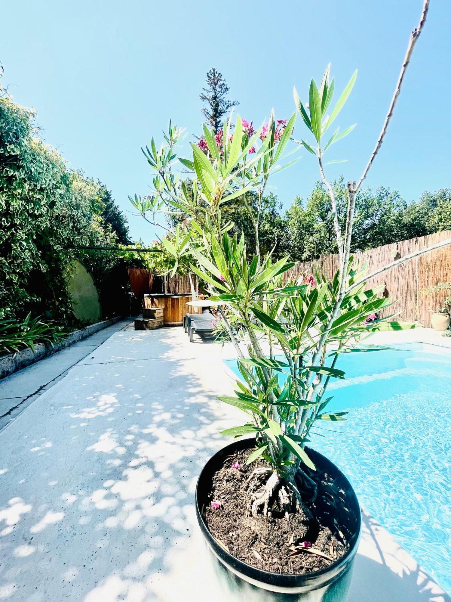 Cabanon Aloe Avec Piscine Chauffee & Bain Nordique Villa Veaux Dış mekan fotoğraf